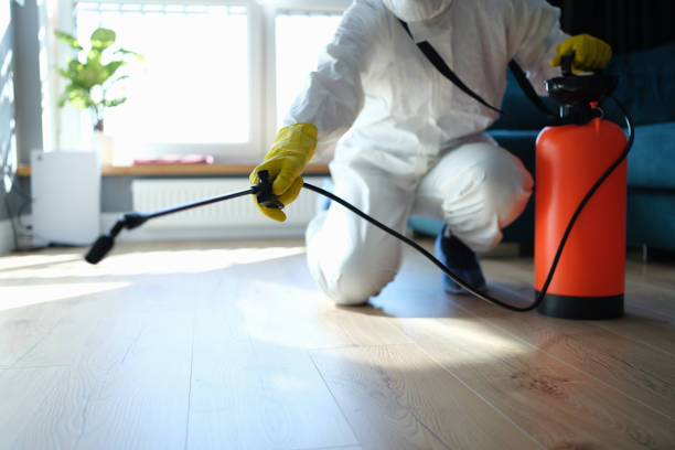 Reliable Biohazard contractor in O'Neals, CA by Trauma Clean Pros